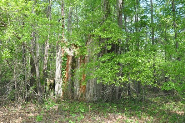 45 INDUSTRIAL BOULEVARD, Hurtsboro, AL 36860